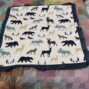 Minky Couture Teton Mist Baby Blanket